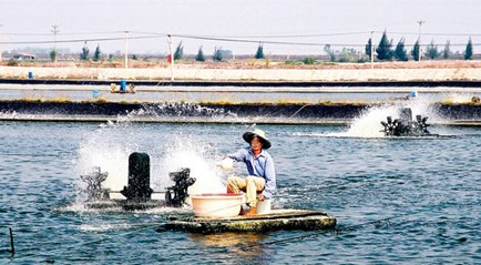 បណ្ដាការផ្លាស់ប្តូរនៅជនបទខេត្ត Tra Vinh