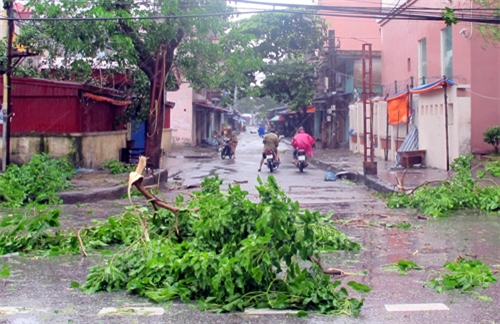 បណ្ដាតំបន់ជំនះពុះពារលើផលវិបាករបស់ខ្យល់ព្យុះ Jebi