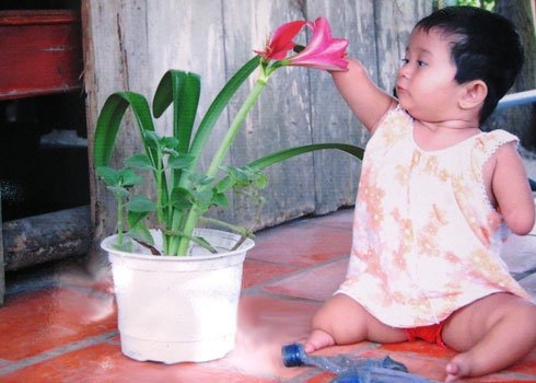 កម្មវិធីផ្ញើសារសប្បុសធម៌ ដើម្បីជនរងគ្រោះដោយជាតិគីមីព័ណ៌លឿងទុំ