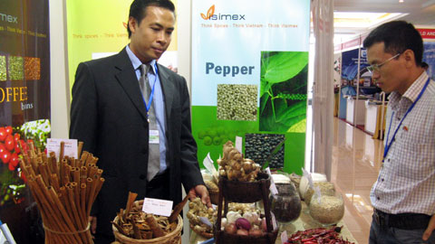 ជំរុញកិច្ចសហប្រតិបត្តិការពលកម្មរវាងវៀតណាមនិងមជ្ឈឹមបូព៌ា-អាហ្វ្រីកខាងជើង