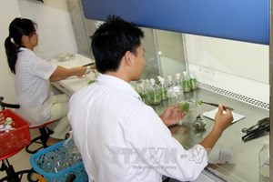 វៀតណាម-អង់គ្លេសផ្លាស់ប្តូរបទពិសោធន៌លើវិស័យថាមពលបរមាណូ