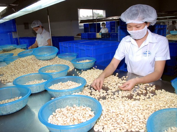 Kazakhstan ជម្រុញកិច្ចសហប្រតិបត្តិការវិនិយោគជាមួយវៀតណាម