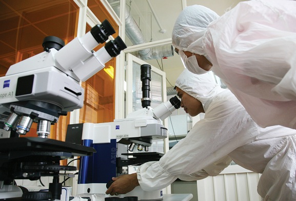 បញ្ញាវ័ន្តវ័យក្មេងសហប្រតិបត្តិការស្រាវជ្រាវវិទ្យាសាស្ត្រក្នុងវិស័យសេដ្ឋកិច្ចនិងបរិស្ថាន