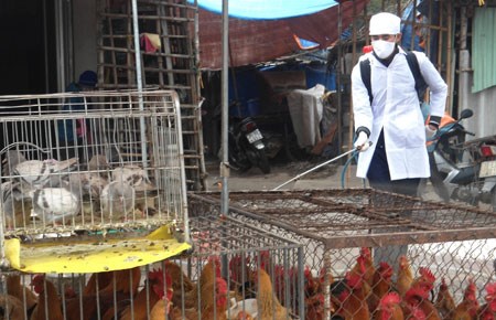 ការបង្ការនិងប្រឆាំងអាសន្នរោគផ្ដាសាយបក្សាបក្សី A/H7N9 នៅវៀតណាម