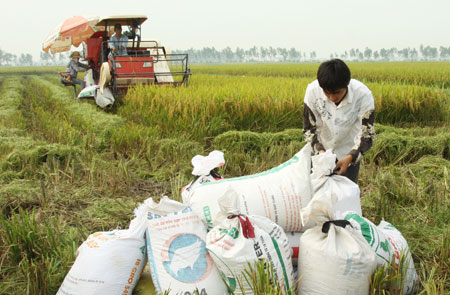 រូបសណ្ឋានជនបទថ្មីនៅលេចឡើងឃុំ THANH VAN