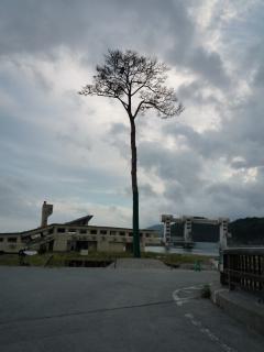 ការរស់រានឡើងវិញនៅតំបន់ត្រូវរងឥទ្ធិពលដោយការរញ្ជួយដីនិងរលកយក្សនៅជប៉ុន