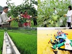 ខេត្ត QUANG NINH វិនិយោគកសាងមណ្ឌលផលិតកម្មប្រមូលផ្តុំ