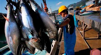 សន្និសីទបូកសរុបការងារធ្វើអាជីវកម្មរដូវនេសាទត្រីឆ្នាំ ២០១៤