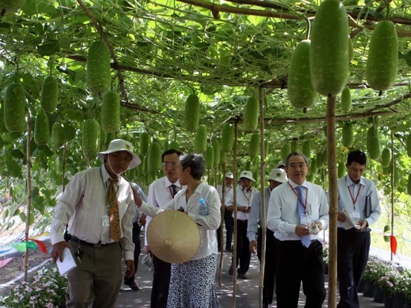 វៀតណាមអនុវត្តយ៉ាងខ្លាំងក្លារាល់ការសន្យាអំពីការអភិវឌ្ឍន៍ចីរភាព