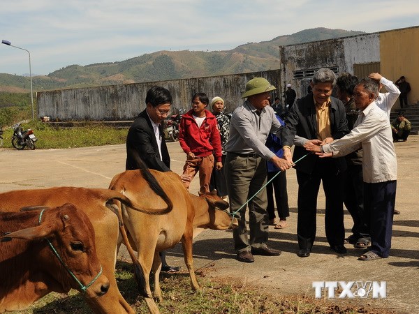១៦៥លានដុល្លារអាមេរិកសំរាប់ការងារកាត់បន្ថយភាពក្រីក្រដំបន់ Tay Nguyen