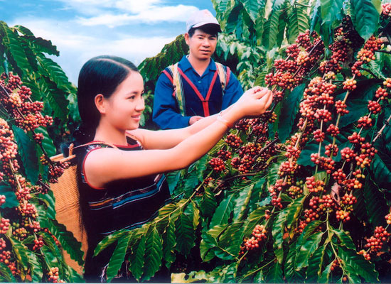 ការកសាងជនបទថ្មីនៅស្រុក Cu M’ga ខេត្ត Dak Lak