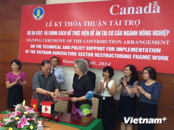 កាណាដាជួយឧបត្ថម្ភវៀតណាមរៀបចំរចនាសម្ព័ន្ធផ្នែកកសិកម្មឡើងវិញ