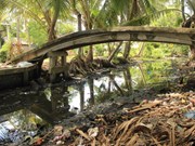 អង្គភាពអាជីវកម្មជប៉ុននិងវៀតណាមមានការតភ្ជាប់លើវិស័យបរិស្ថាន