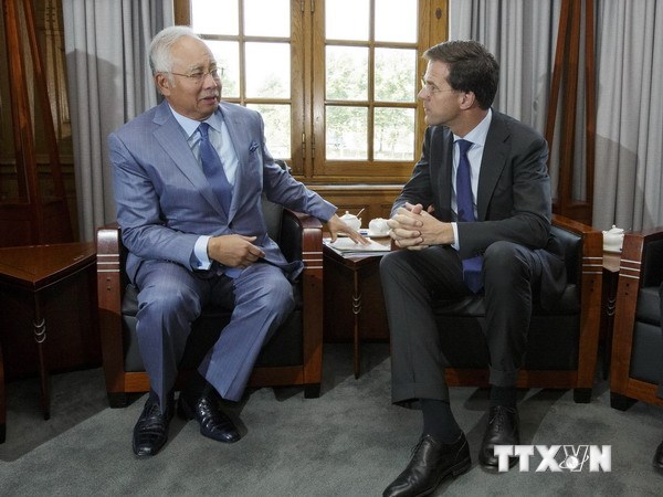 ម៉ាឡេស៊ី-ហ៊ូឡង់អំពាវនាវបញ្ឈប់ការប៉ះទង្គិចនៅទីកន្លែងធ្លាក់យន្តហោះ MH17