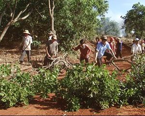 BU DANG ការស្រុះចិត្តគំនិតក្នុងការកសាងជនបទថ្មី