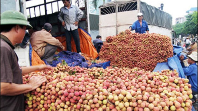 អាមេរិកនាំចូលផ្លែគូលេននិងផ្លែមៀនពីវៀតណាម