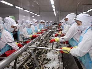 ការហូតពន្ធលក់បង្ខូចតម្លៃចំពោះបង្កងវៀតណាមគឺដើរផ្ទុយទៅនឹងស្មារតីពាណិជ្ជកម្មសេរី