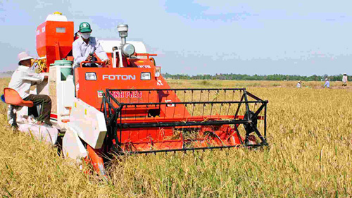 វៀតណាមជំរុញការអនុវត្តគោលដៅកាត់បន្ថយភាពក្រីក្រយ៉ាងចីរភាពដល់ឆ្នាំ២០២០