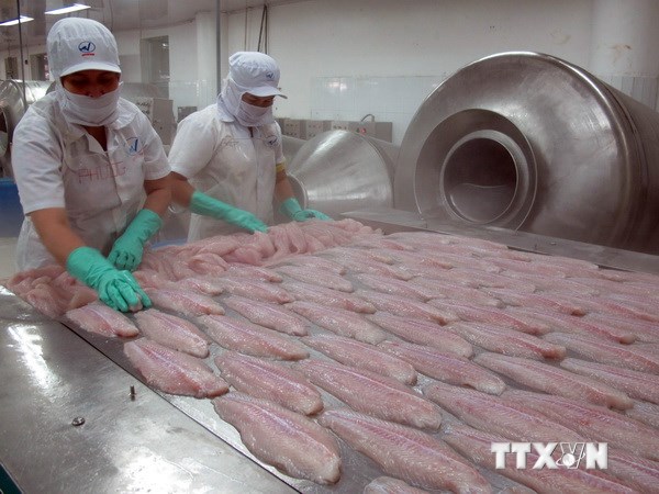 វៀតណាមនាំមុខក្នុងការនាំចេញត្រីហ្វីឡេទៅកាន់ទីផ្សារប្រេស៊ីល