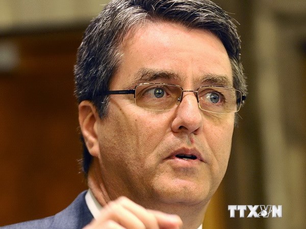 WTOត្រៀមខ្លួនជាស្រេចជួយវៀតណាមធ្វើសមាហរណកម្មសេដ្ឋកិច្ចអន្តរជាតិ