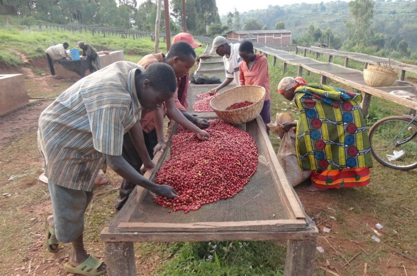 សហភាពអាហ្វ្រីកចង់រួចផុតពីការចំណុះទៅលើអ្នកធ្វើហិរញ្ញប្បទាន
