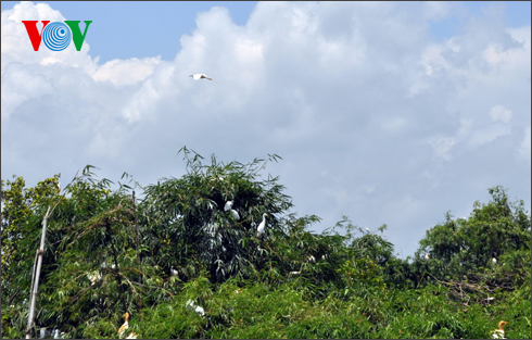 សួនកុក Bang Lang-វិសេសវិសាលនៃទេសភាពធម្មជាតិណាមបូ