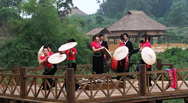 សកម្មភាពសម្បូរបែបក្នុងទិវាបុណ្យវប្បធម៌ជនរួមជាតិ Thai លើកទី ១