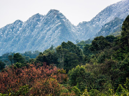 ទិវាបុណ្យទេសចរណ៍ Mau Son បានបើកនៅខេត្ត Lang Son