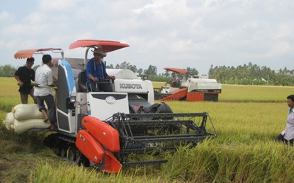 ខេត្ត Can Tho ខំប្រឹងប្រែងកាត់បន្ថយភាពក្រីក្រ