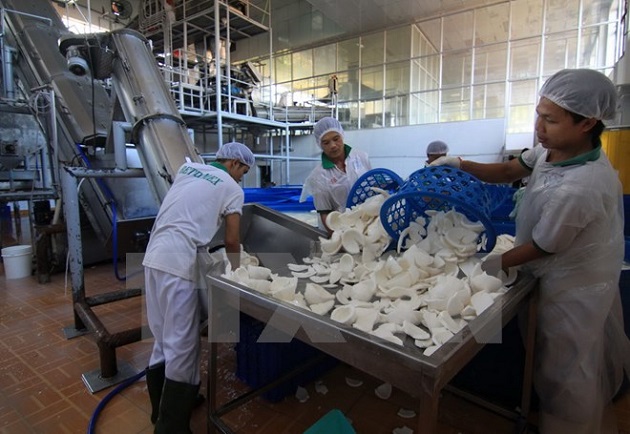 យថាទស្សនៃការនាំចេញរបស់វៀតណាមក្នុងឆ្នាំ ២០១៥