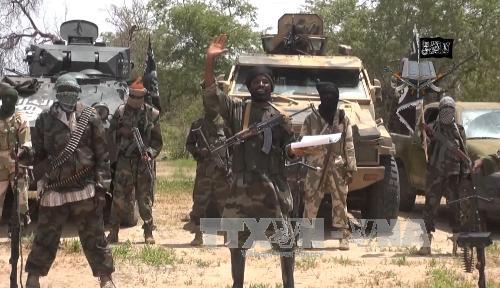 Nigeria៖ ពួកឧទ្ទាម Boko Haram ដោះលែងចំណាប់ខ្មាំងចំនួន ១៩២ នាក់