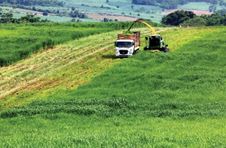 ផ្សាភ្ជាប់អង្គភាពអាជីវកម្មដើម្បីការអភិវឌ្ឍន៍កសិកម្មវៀតណាម