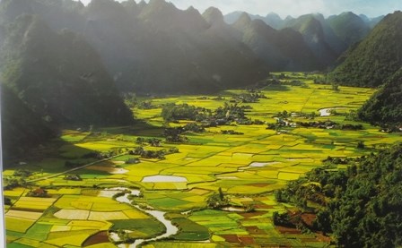 វៀតណាម-ទីមកដល់សំរាប់អ្នកវ័យចាស់ក្នុងឆ្នាំ២០១៥