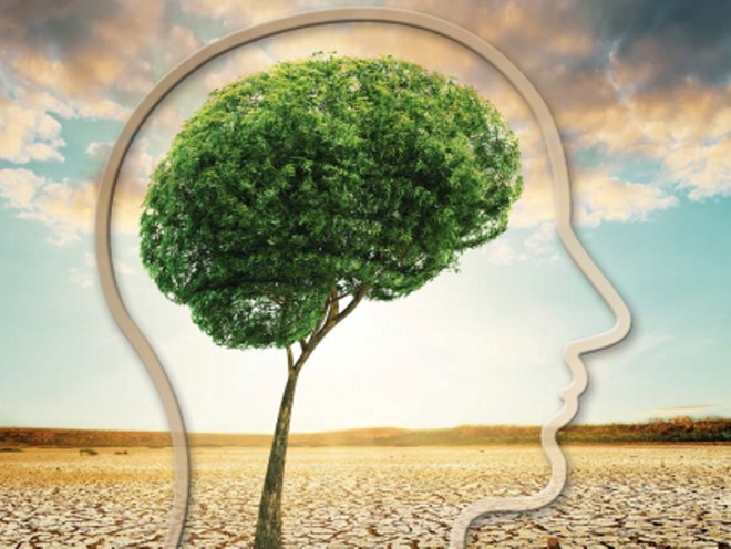 វៀតណាមរៀបចំមីទ្ទីងរំលឹកខួបទិវាឧត្តុនិយមពិភពលោកទី២៣មិនា