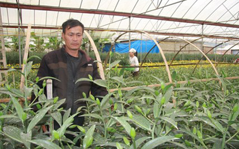 វៀតណាម-ចិនបង្កើនកិច្ចសហប្រតិបត្តិការក្នុងកសិកម្ម