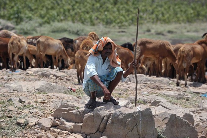 ឥណ្ឌា៖ អ្នកស្លាប់ដោយកម្តៅបន្តកើនឡើង