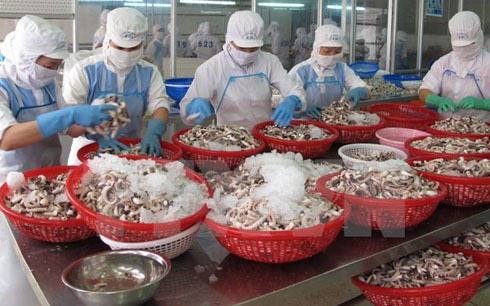 ប្រកាសរបាយការណ៍ស្វែងយល់អំពីលក្ខណៈរស់នៅរបស់ពលការិនីក្នុងអង្គភាពអាជីវកម្ម FDI