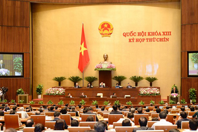 សកម្មភាពរបស់រដ្ឋសភាវៀតណាមនីតិកាលទី១៣