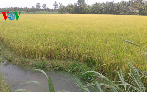 ខេត្ត Tien Giang ពន្លឿនកិច្ចសហប្រតិបត្តិការជាមួយអាហ្វ្រីកខាងត្បូងក្នុងវិស័យបរិស្ថាន