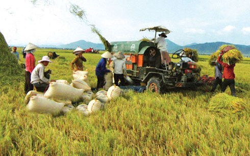 WB វាយតំលៃខ្ពស់យថាទស្សន៍សេដ្ឋកិច្ចរបស់វៀតណាម