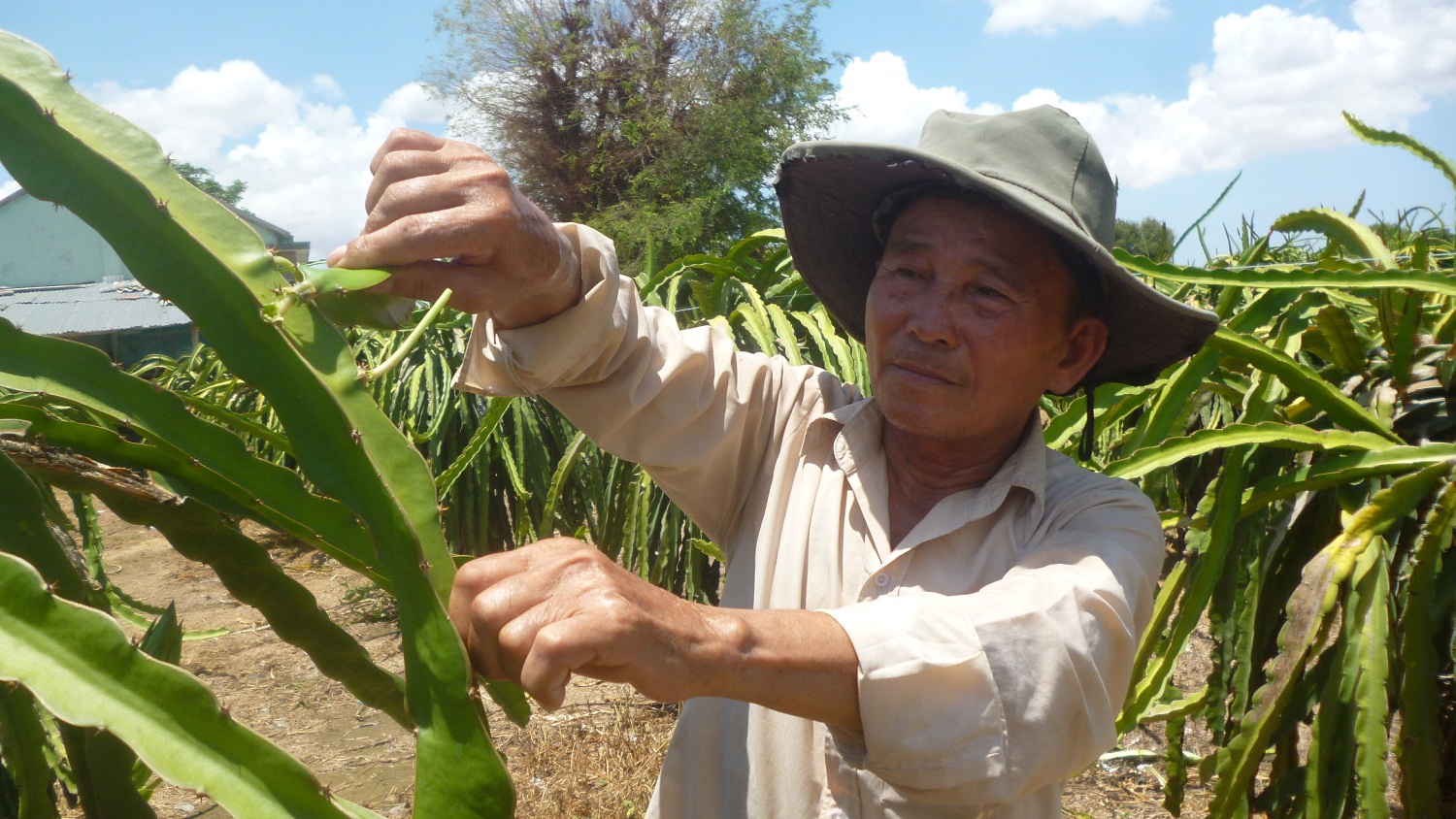 យុទ្ធជនពិកាធ្វើការងារល្អ