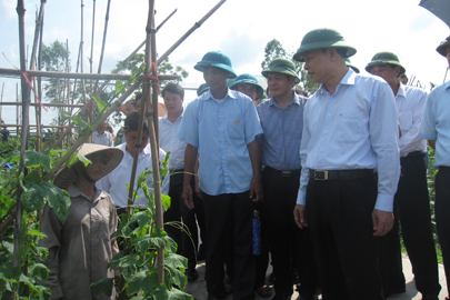 ឧបនាយករដ្ឋមន្ត្រី Vu Van Ninh បំពេញការងារនៅខេត្ត Thai Binh
