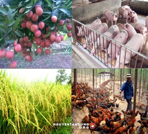 ជំរុញខ្លាំងឧស្សាហូបនីយកម្ម ទំនើបភាវូបនីយកម្មកសិកម្ម ជនបទ តភ្ជាប់ជាមួយការកសាងជនបទថ្មី