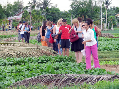 ភូមិបន្លែ Tra Que(Hoi An)ជាកន្លែងទេសចរណ៍មួយក្នុងចំណោមកន្លែងទេសចរណ៍គួរឲ្យទាក់ទាញ