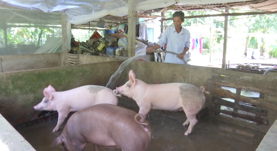 លោក Le Hoang My សកម្មធ្វើការងារសង្គម