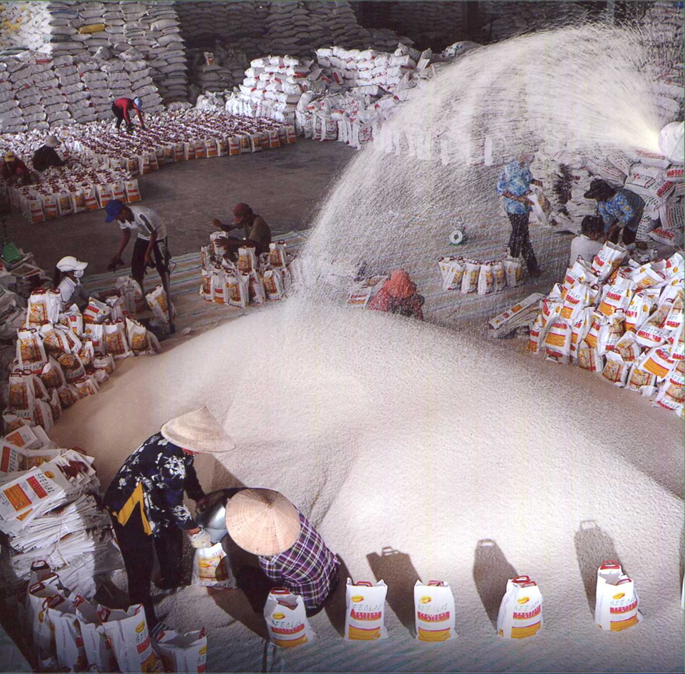 វៀតណាមនិងថៃជាប្រទេសចំនួន២ដែលស្រូបយកជិត៥០%នៃបរិមាណអង្ករនាំចេញលើពិភពលោក