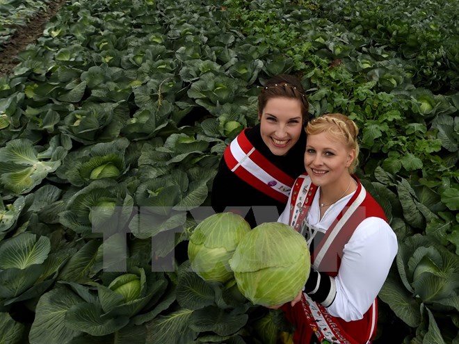 EUចំណាយជាង១១០លានអឺរ៉ូសម្រាប់ជំរុញការប្រើប្រាស់កសិផល