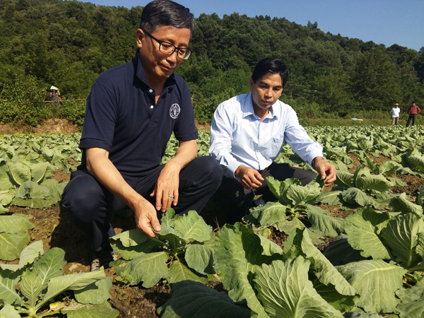 វៀតណាមជួយជ្រោមជ្រែងទិវាស្បៀងអាហារពិភពលោកនៅវៀតណាម