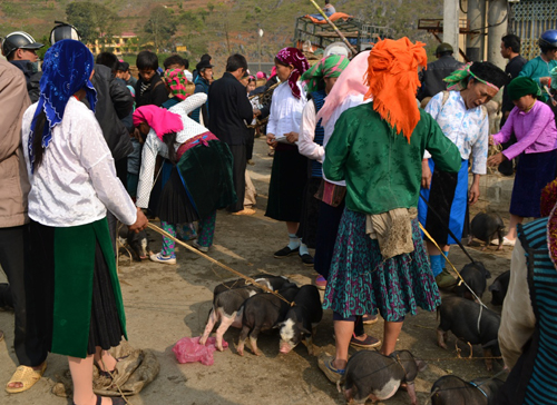 ផ្សារនៅតំបន់ខ្ពង់រាប Ha Giang