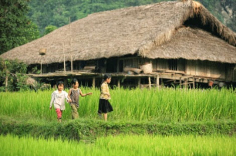 ទស្សនាភូមិ Tha នៅខេត្តHa Giang
